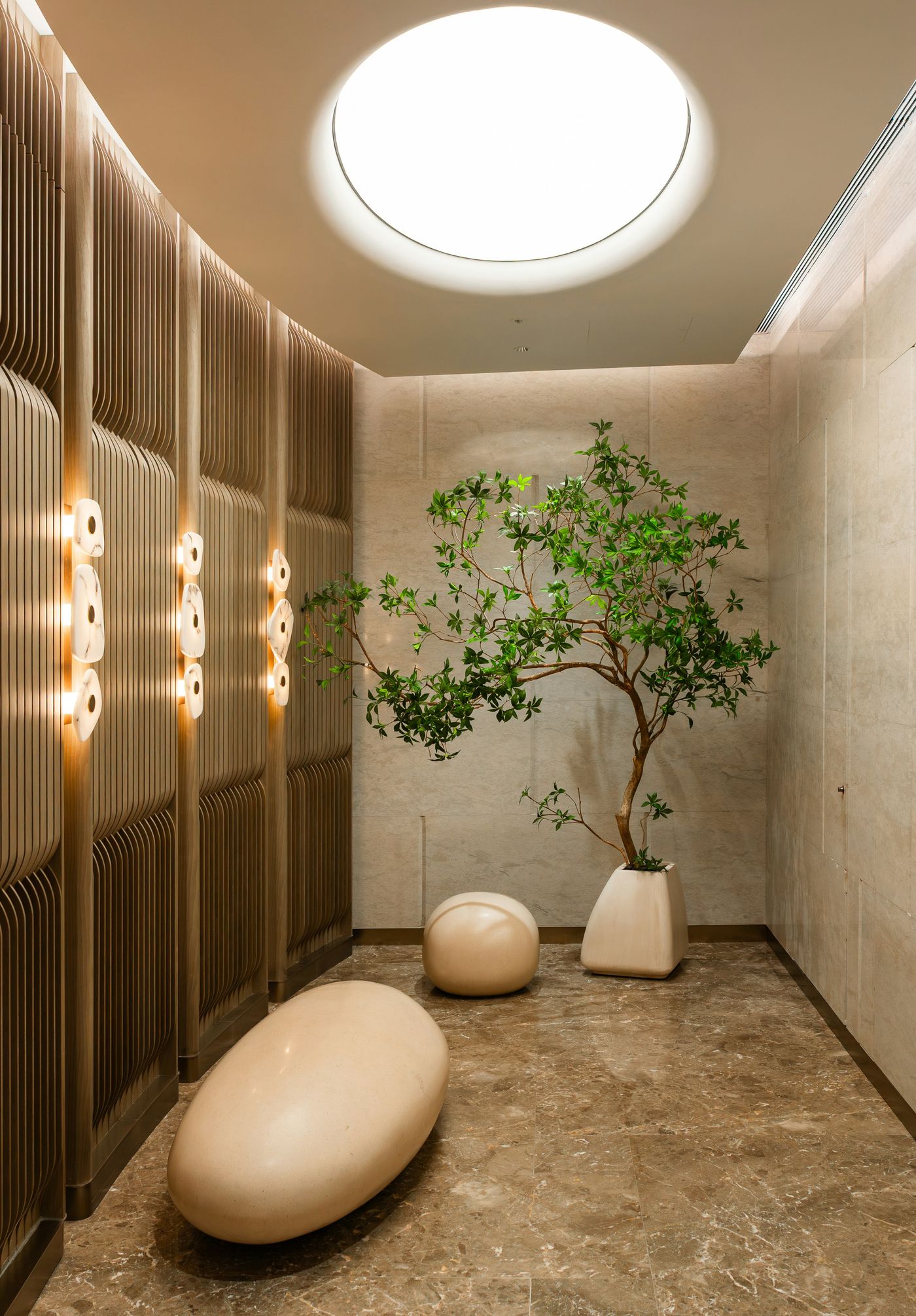 A calm, softly lit wellness space with a potted tree and smooth stone seating